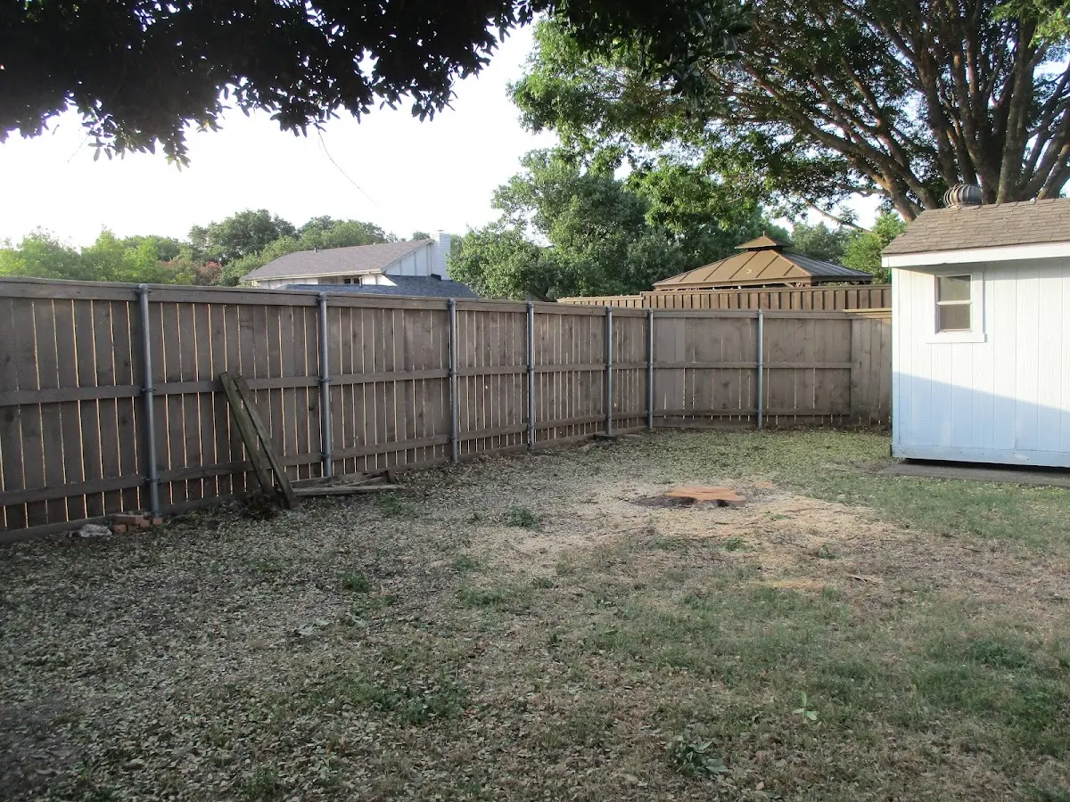 Cleared yard after professional tree removal in Fort Ashby